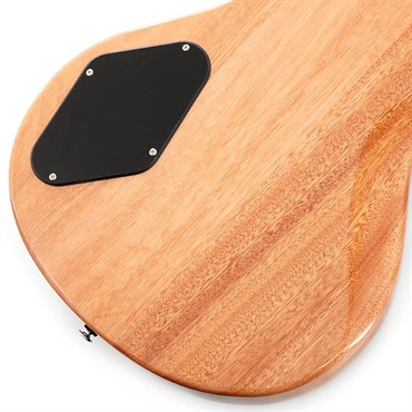 P.R.S. SE Zach Myers (Myers Blue) 画像7