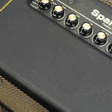 Positive Grid USED 中古 Spark 40 画像5