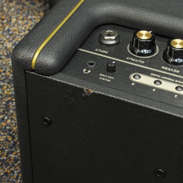 Positive Grid USED 中古 Spark 40 画像6