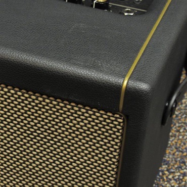 Positive Grid USED 中古 Spark 40 画像7