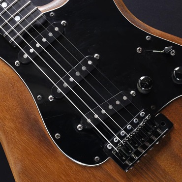 SCHECTER USED 中古 Platinum Wood Series PW-ST-WAL (Oil/Ebony) 画像3