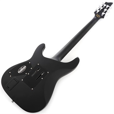 SCHECTER DAMIEN PLATINUM-6 FR [AD-DM-PTM-FR] (SBK) ｜イケベ楽器店