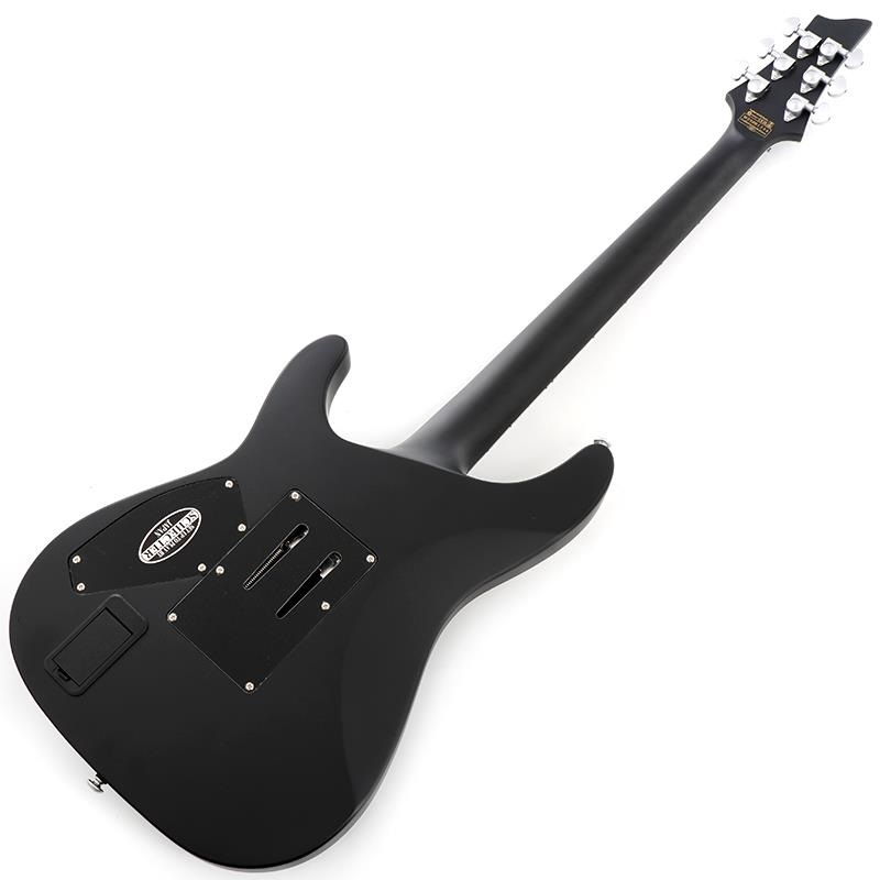 SCHECTER DAMIEN PLATINUM-6 FR [AD-DM-PTM-FR] (SBK) ｜イケベ楽器店