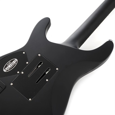 SCHECTER DAMIEN PLATINUM-6 FR [AD-DM-PTM-FR] (SBK) 画像5