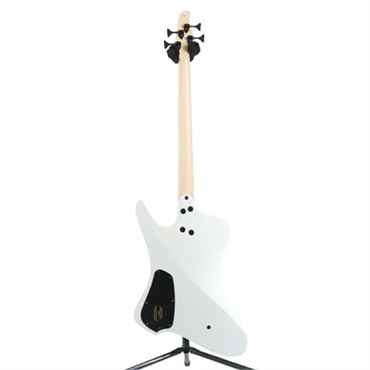 DINGWALL D-Roc Standard 4strings (Ducati Matte Pearl White) #18999 【特価】 画像5