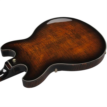 Ibanez 【4月25日入荷予定】 ARTSTAR ASH300-TBC (Tobacco Brown) 画像3