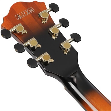 Ibanez 【4月25日入荷予定】 ARTSTAR ASH300-TBC (Tobacco Brown) 画像5