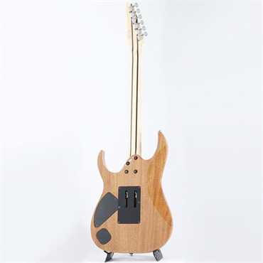 Ibanez Prestige RG5320RC-DFM (Deep Forest Green Metallic) 画像2