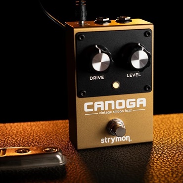 strymon Canoga ファズ ※2026年4月25日発売 画像3