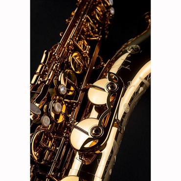 Selmer Paris 【神保佳祐氏選定品】テナーサックス セルマー Signature シグネチャー DARK SL(ダークシグネチャーラッカー) 【調整&セットアップ後出荷】【5年間キーバランス調整無料】【5年間キーバランス調整無料】 画像6