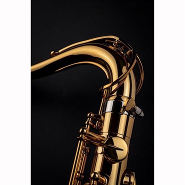 Selmer Paris 【神保佳祐氏選定品】テナーサックス セルマー Signature シグネチャー DARK SL(ダークシグネチャーラッカー) 【調整&セットアップ後出荷】【5年間キーバランス調整無料】【5年間キーバランス調整無料】 画像9