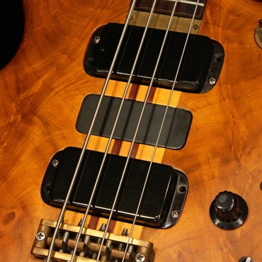 ALEMBIC USED 中古 Series I / SSB '78 画像2