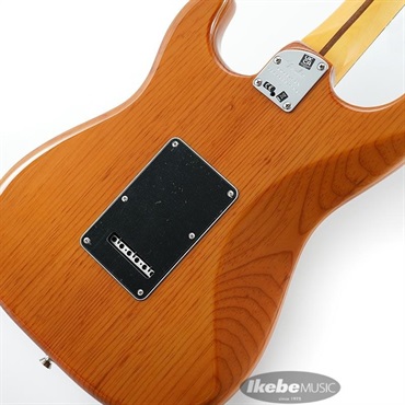 Fender USA American Professional II Stratocaster (Roasted Pine /Rosewood) 【特価】 画像7