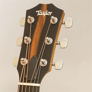TAYLOR 【大決算セール】 117e テイラー 画像9