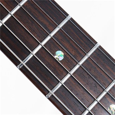 Freedom Custom Guitar Research USED 中古　RS-TE HS[SN.00954]フリーダムカスタムギターリサーチ 画像6