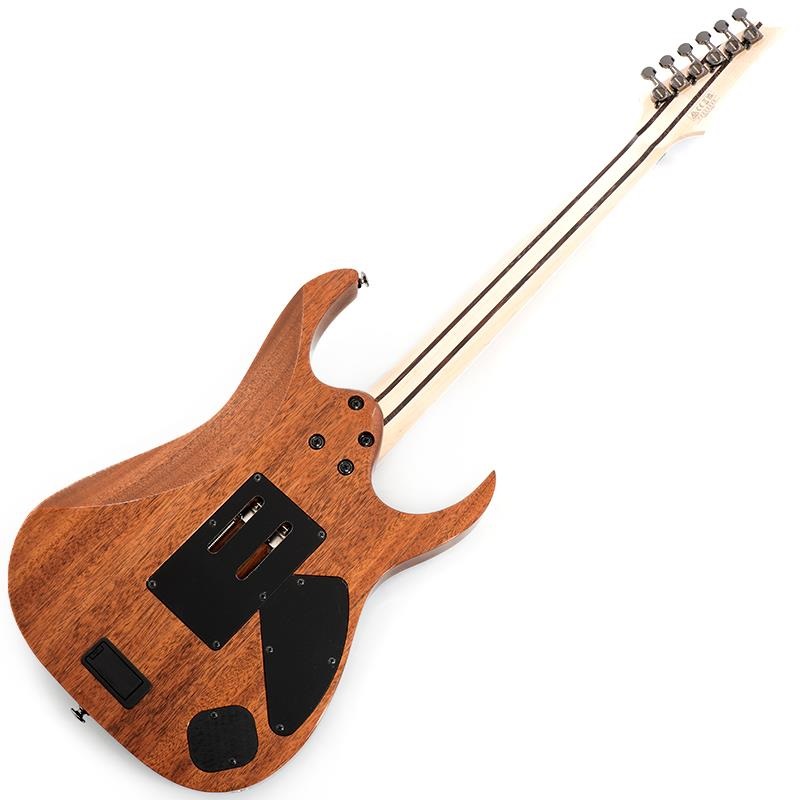 Ibanez Prestige RG5120ML-FCN (Frozen Ocean) SN.F2609898 ｜イケベ