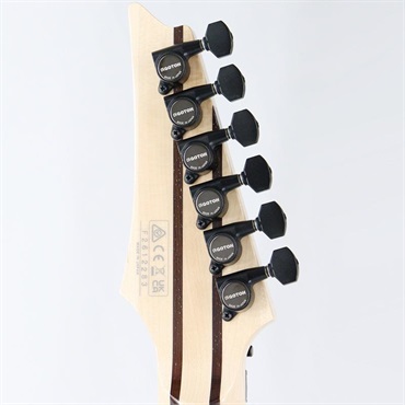 Ibanez j.custom RG8570B-PBB (Paraiba Blue Burst) [Limited Model] [SN.F2612283] 画像9