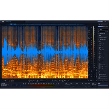 iZotope RX 12 Standard (アイゾトープ)(オーディオリペア)(プラグインソフト)(オンライン納品)(2時間以内に納品) 画像1