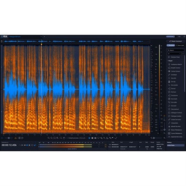 iZotope RX 12 Advanced: Upgrade from RX 11 Standard (アイゾトープ)(オーディオリペア)(プラグインソフト)(オンライン納品)(2時間以内に納品) 画像1