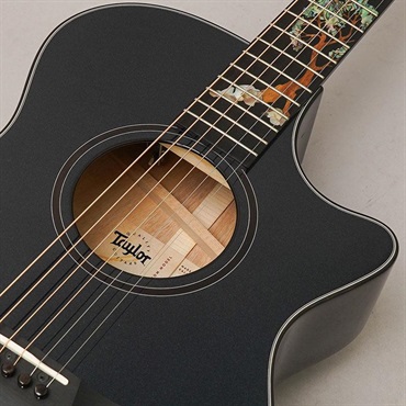TAYLOR 【夏先取り大特価セール】 Custom GCce All Shamel Ash Dark Turquoise Metallic テイラー 画像6