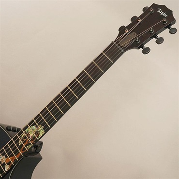 TAYLOR 【夏先取り大特価セール】 Custom GCce All Shamel Ash Dark Turquoise Metallic テイラー 画像8