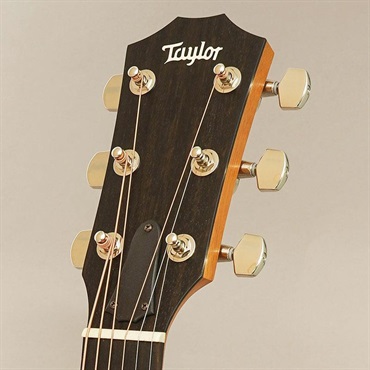 TAYLOR 214ce-Koa SB Plus テイラー 画像10
