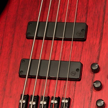 S.Martyn Custom Basses Element 34 5st (TRM) 画像2