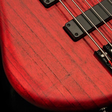 S.Martyn Custom Basses Element 34 5st (TRM) 画像3