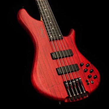 S.Martyn Custom Basses Element 34 5st (TRM) 画像5