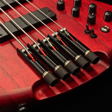 S.Martyn Custom Basses Element 34 5st (TRM) 画像6