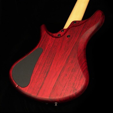 S.Martyn Custom Basses Element 34 5st (TRM) 画像9