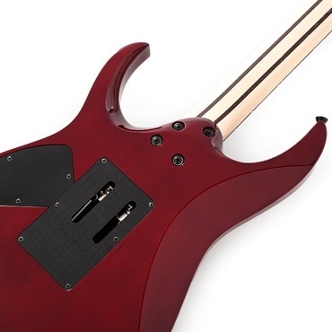 Ibanez j.custom Axe Design Lab RG8870-AGT SN.F2615744 画像5