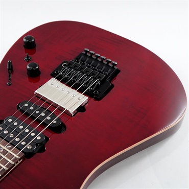 Ibanez j.custom Axe Design Lab RG8870-AGT SN.F2615744 画像10