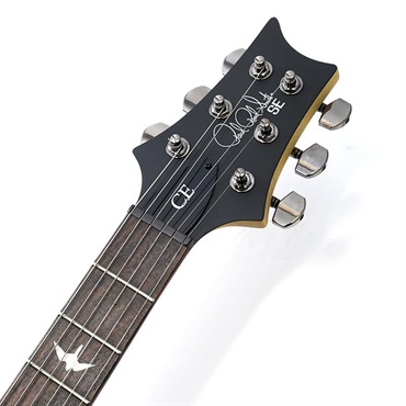 P.R.S. USED 中古 SE Swamp Ash CE 24 Sandblasted Limited Edition (Sandblasted Blue) SN.CTIG034481 画像6