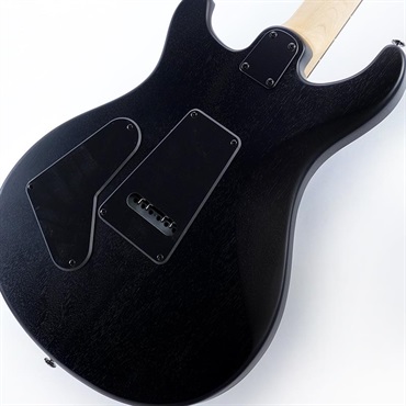 P.R.S. USED 中古 SE Swamp Ash CE 24 Sandblasted Limited Edition (Sandblasted White) SN.CTIG030279 画像5
