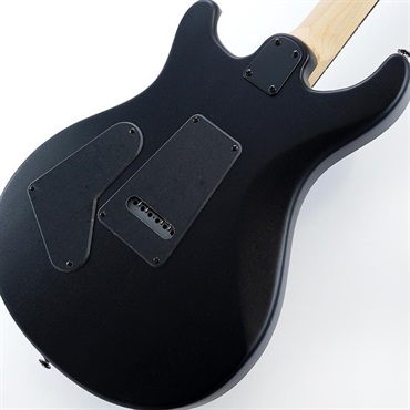 P.R.S. USED 中古 SE Swamp Ash CE 24 Sandblasted Limited Edition (Sandblasted Purple) SN.CTIG034202 画像5