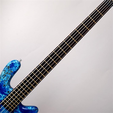 Warwick Pro Series Streamer LX 5st Birdseye Poplar Top (Bleached Blue TP HP) [Ikebe 50th Anniversary Special Edition] #013940 画像4
