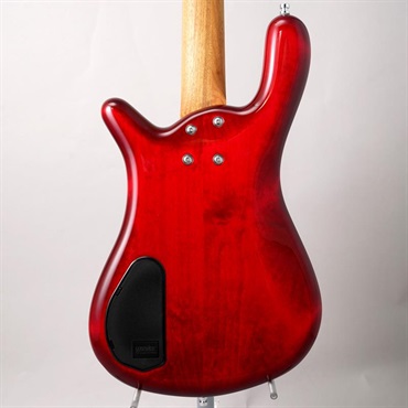 Warwick Pro Series Streamer LX 4st Birdseye Poplar Top (Dark Bleached Red TP HP) [Ikebe 50th Anniversary Special Edition] #13964 画像2