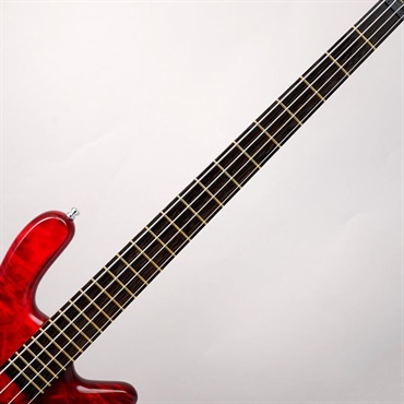 Warwick Pro Series Streamer LX 4st Birdseye Poplar Top (Dark Bleached Red TP HP) [Ikebe 50th Anniversary Special Edition] #13964 画像4