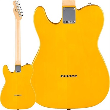 Fender Standard Series Standard Telecaster (Butterscotch Blonde/Maple) 【特価】 画像1