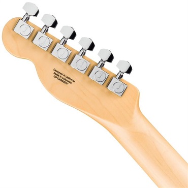 Fender Standard Series Standard Telecaster (Butterscotch Blonde/Maple) 【特価】 画像4
