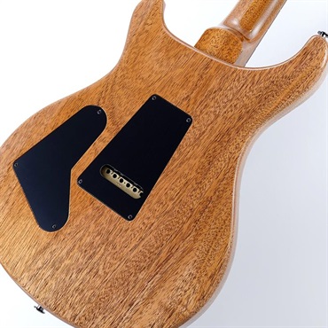 P.R.S. Custom 24 Mango Limited Edition  (Violet) SN.0421179 2025年生産品 画像7