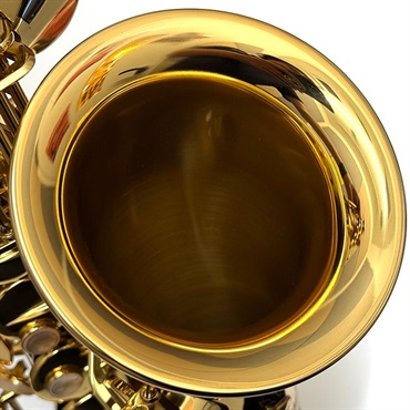 Selmer Paris USED 中古 セルマー アルトサックス SERIE III Jubilee GL S/N:734xx8 【調整&セットアップ後出荷】【5年間キーバランス調整無料】 画像5