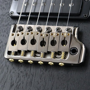 P.R.S. Standard 24 Satin (Black) [SN.0419173] 【Ikebe Order Color Model】【2025年生産品】 画像5
