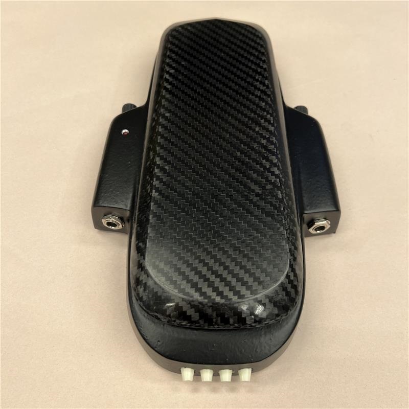 Roger Mayer USED 中古 Vision Wah （ロジャーメイヤー） ｜イケベ楽器