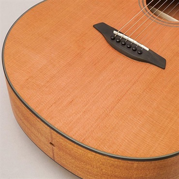 Furch Blue Plus Gc-CMa #137980 フォルヒ 画像7