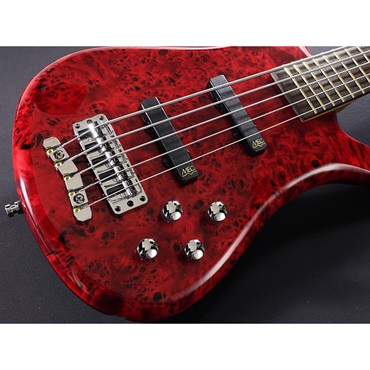 Warwick Pro Series Streamer LX 5st Birdseye Poplar Top (Dark Bleached Red TP HP) [Ikebe 50th Anniversary Special Edition] #013958 画像4