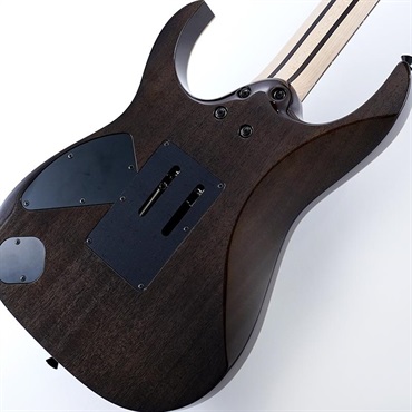 Ibanez j.custom RG8620AH-BQZ (Black Quartz) ※指板焼け特価品 画像7