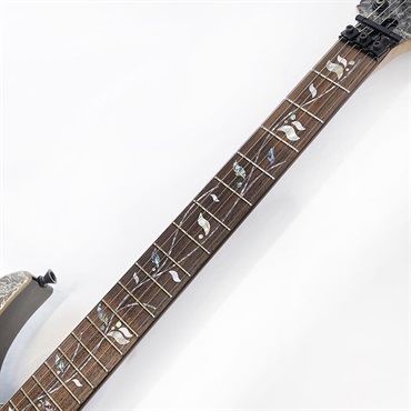 Ibanez j.custom RG8620AH-BQZ (Black Quartz) ※指板焼け特価品 画像10
