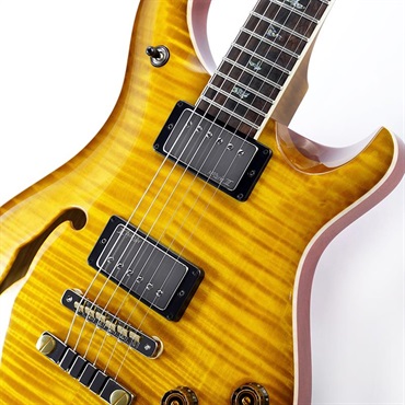 P.R.S. Wood Library McCarty 594 Semi-Hollow (McCarty Sunburst) SN.040761 2025年生産品 画像3